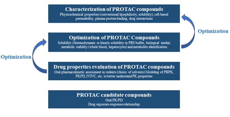 Dmpk Strategy And Process Image
