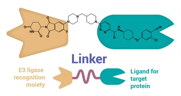 Linker Blog Image