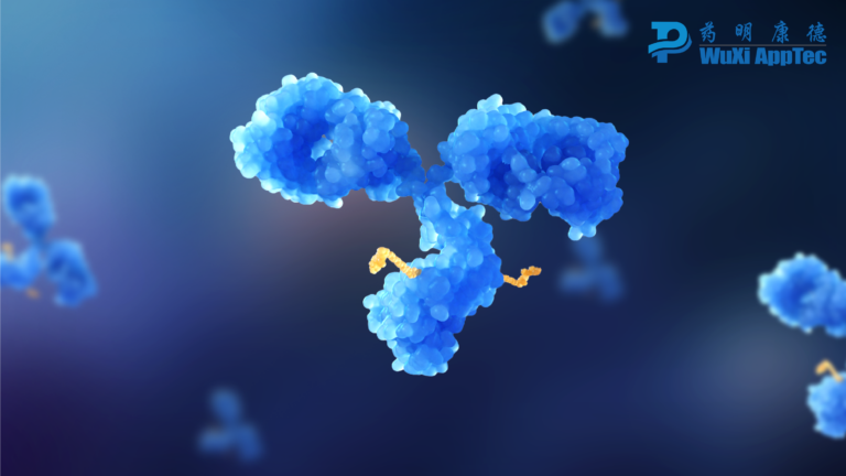 drug solubility testing: 4 ways it helps drug discovery & development 4 Adc With Wuxi Apptec Logo