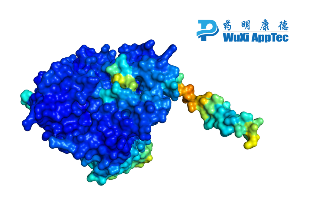 Cyp Enzyme Image For Ddi