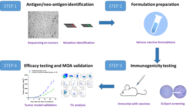 progress and challenges in tumor vaccine development 9 Cancer Vaccine Article Figure 10
