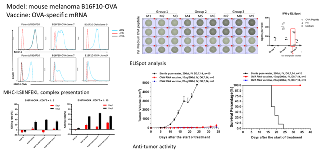 progress and challenges in tumor vaccine development 10 Cancer Vaccine Article Figure 11