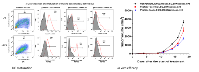 progress and challenges in tumor vaccine development 12 Cancer Vaccine Figure 13