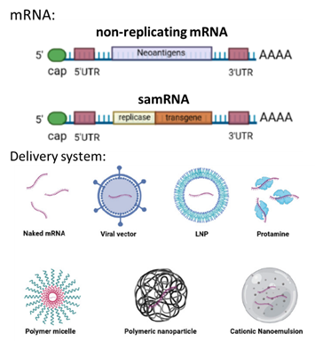progress and challenges in tumor vaccine development 3 Cancer Vaccine Article Figure 4