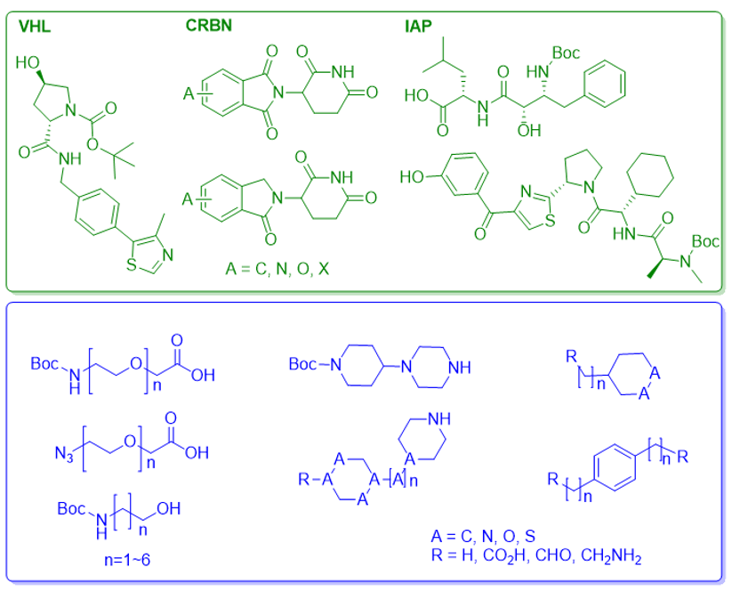 Protac Synthesis Ligands