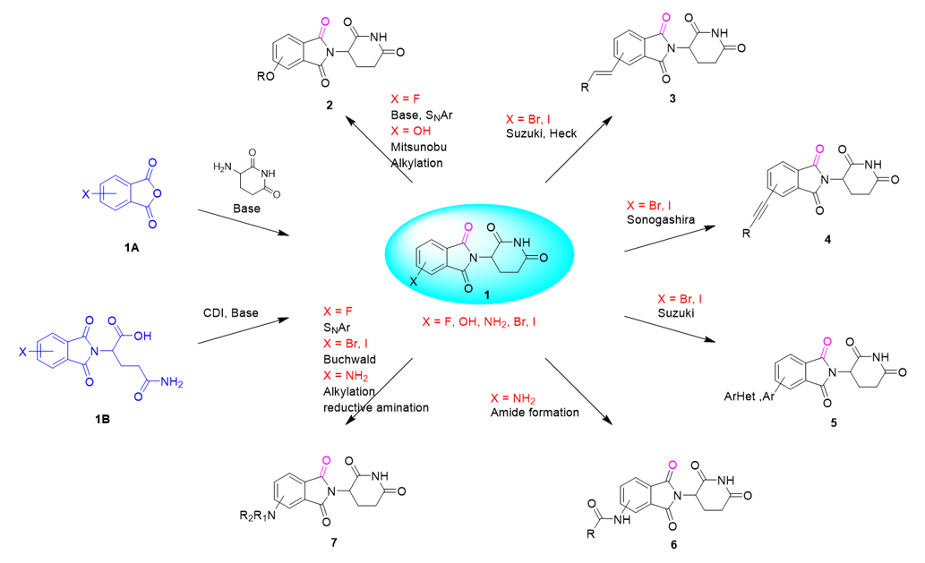 Crbn Ligands, Synthesis Strategies 