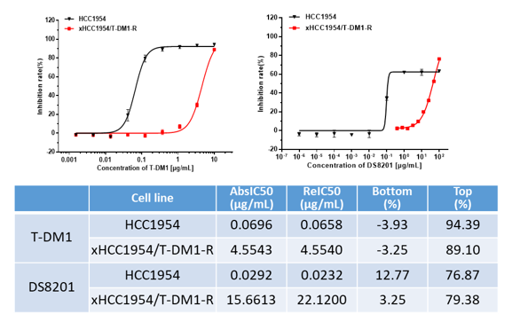 leveraging animal models to combat drug resistance in cancer therapy 7 Drug Resistant Animal Models