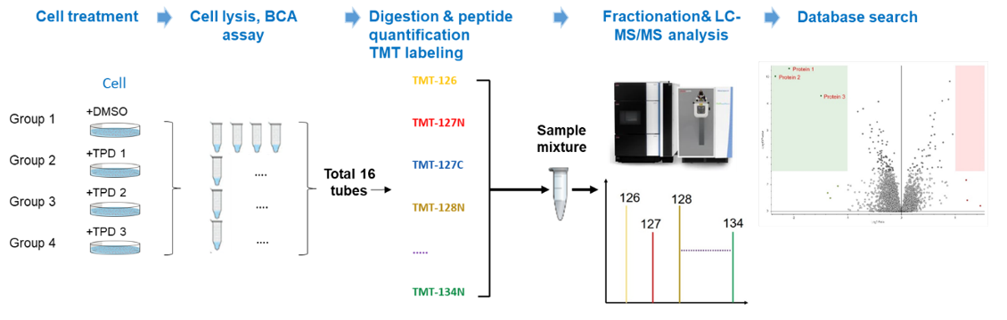 Off-Target Effects Of Protacs, Via Proteomics