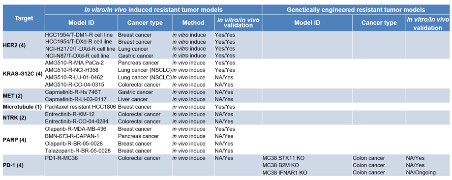 leveraging animal models to combat drug resistance in cancer therapy 5 Drug Resistant Tumor Models