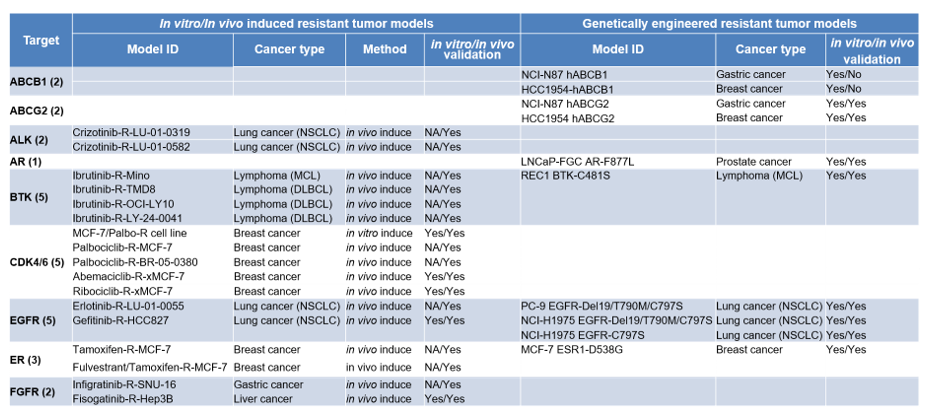 leveraging animal models to combat drug resistance in cancer therapy 4 Drug Resistant Tumor Models
