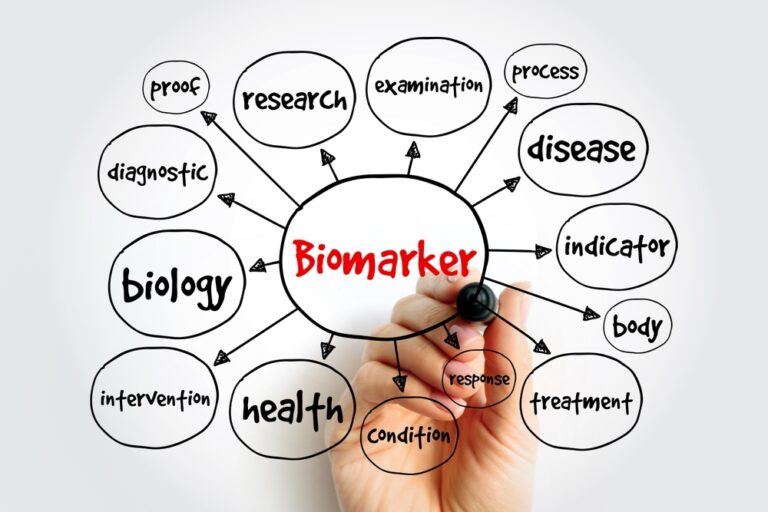 small molecule biomarkers 3 Shutterstock 2403439659