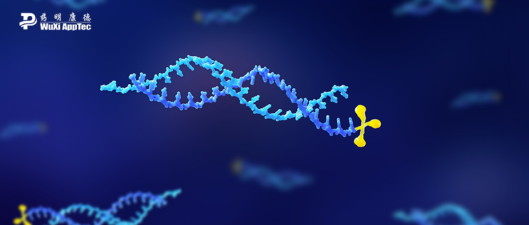 key toxicology considerations for large-molecule therapies 2 Sirna