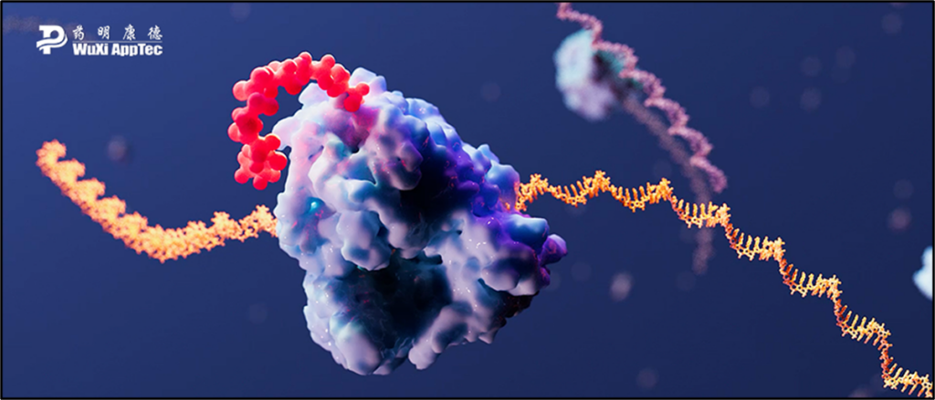 The Critical Bioanalytical Strategies Lnp Mrna Blog Image