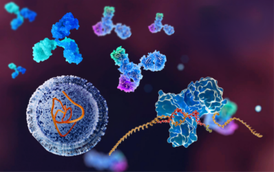 bioanalytical strategies for fusion proteins 3 Wuxi Blog2332 400X250 1