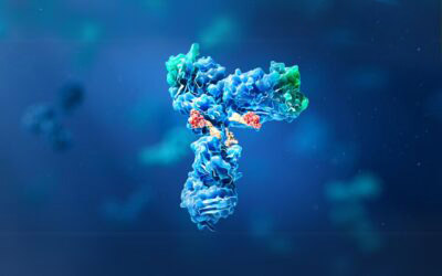 bioanalysis of adc drugs by lc-ms/ms 4 Adc 3 400X250 1