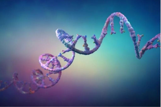 a new oligo playbook: building a tailored, risk-based strategy to a successful ind 3 6Challenges Oligoblogfi