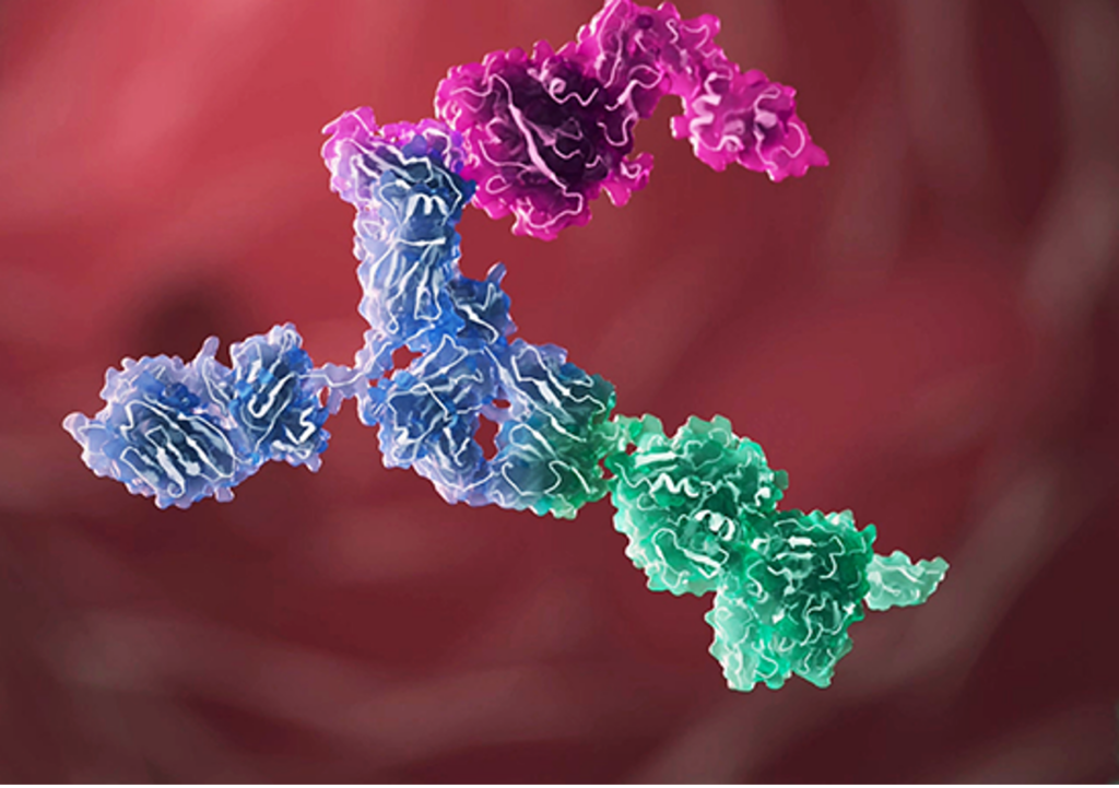 Bio Antibodies Blog Fti
