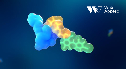 preclinical development 4 Roadmap Blogftimg