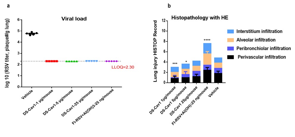 mrna drugs: progress, production, and prospects 7 Figure 5 Mrna Blog