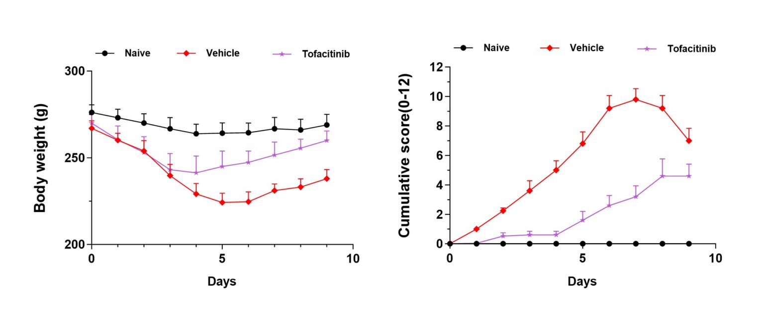 psoriasis: pathogenesis, treatment, and evolving disease models 7 Figure 5 Psoriasis Blog