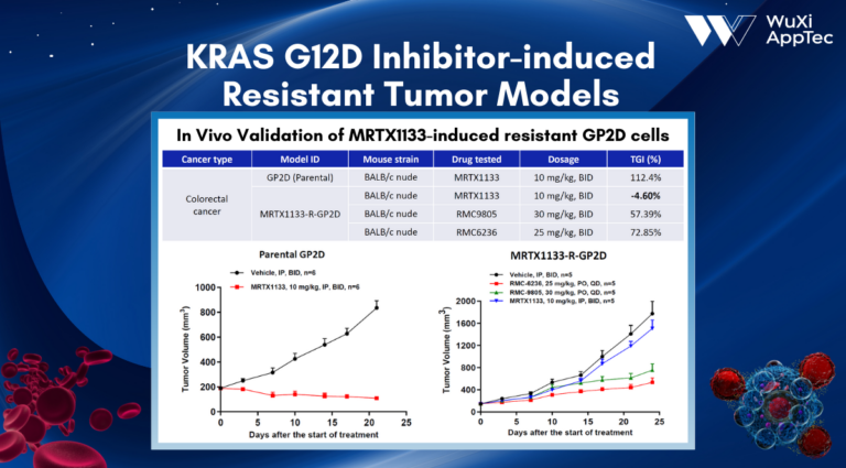 combined inhibition of kras g12c and pd1 boosts therapeutic efficacy via conditioning of tumor microenvironment 3 Presentation Kras G12D Inhibitor Induced Resistant Tumor Models