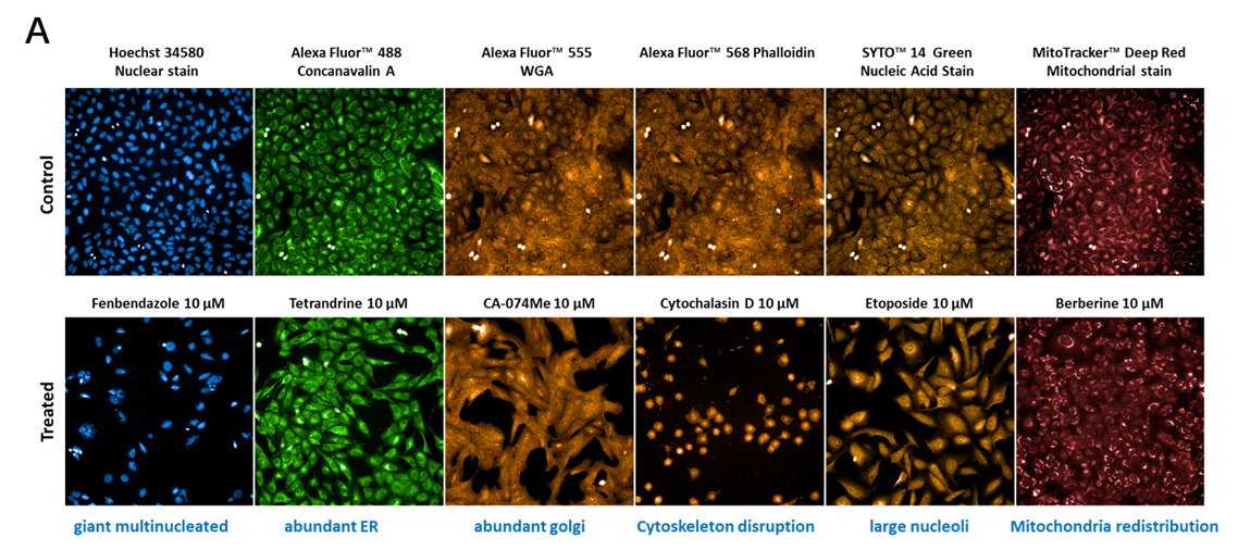advanced screening methods for better drug targets 5 Figure-4A_Blog_Target-Discovery_Based-On-January-2026-Webinar-With-Gen