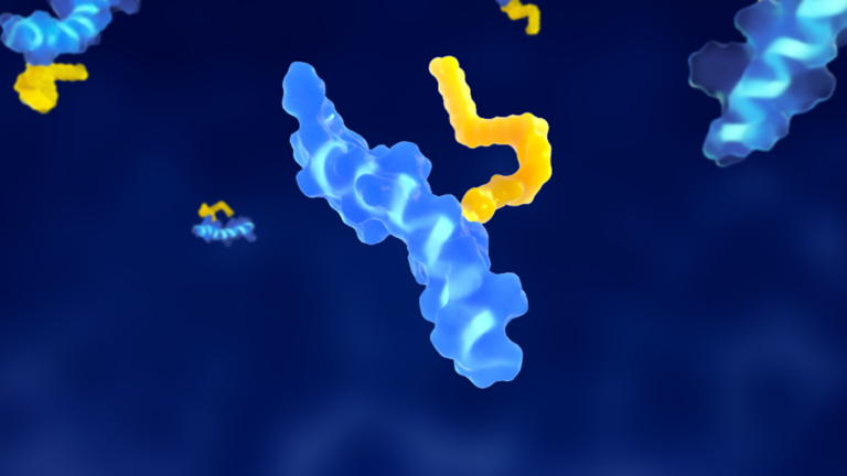 bioanalysis of glp-1 antagonist drugs by multiple analytical platforms 3 Peptide Picture1