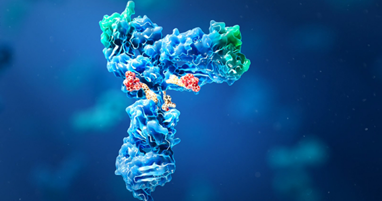 dar research on adcs using lc-ms 3 Adc Services Bioa Challenges Blog Image