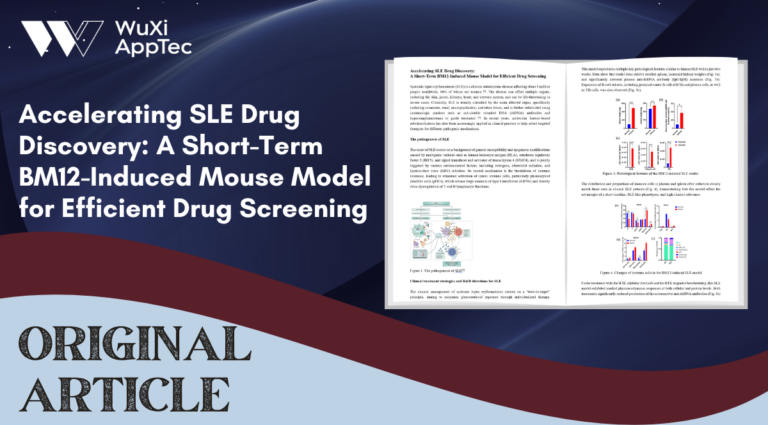 Blog Sle Drug Discovery Via Bm12 Short Term Mouse Model