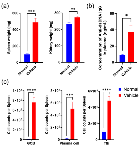 short-term mouse model to accelerate sle drug discovery 5 Diagrams