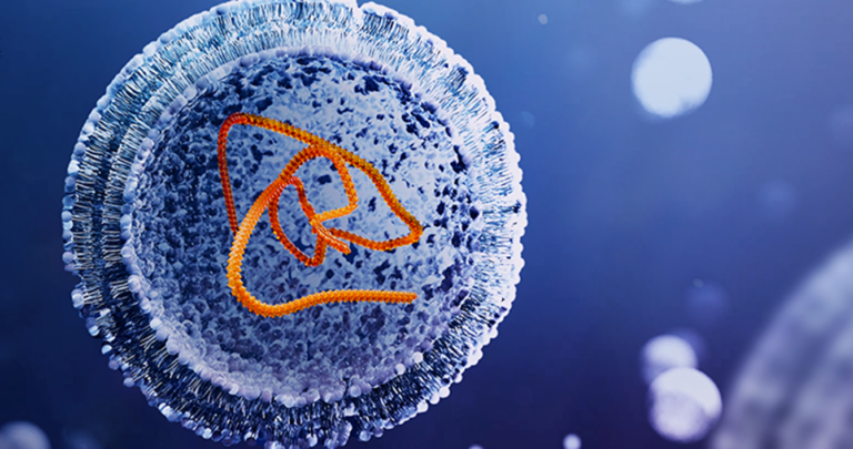 6 factors that can make or break the mrna therapeutic development 2 Mrna Analytical Services Blog Image