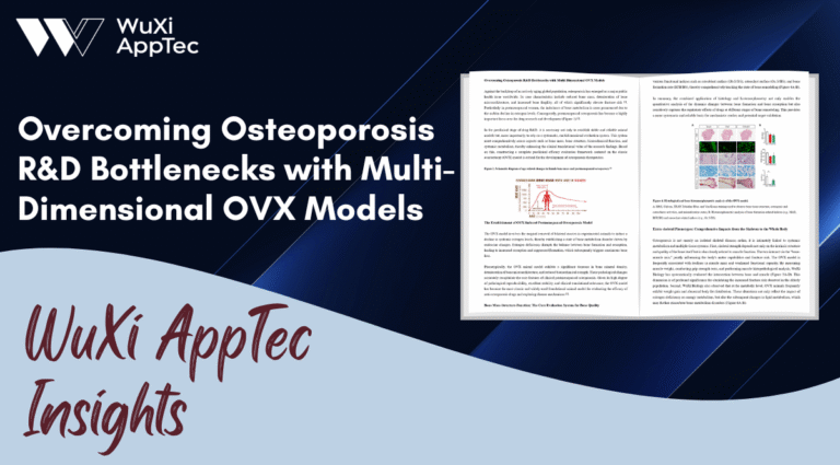 Blog Osteoporosis Ovx Models