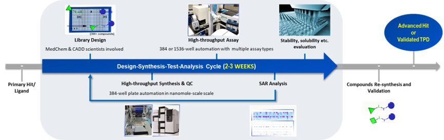 targeting er mutations and drug resistance 2 Fig 1 Er Blog