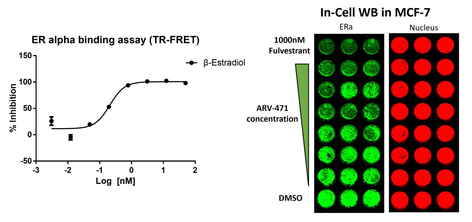 targeting er mutations and drug resistance 3 Fig 2 Er Blog