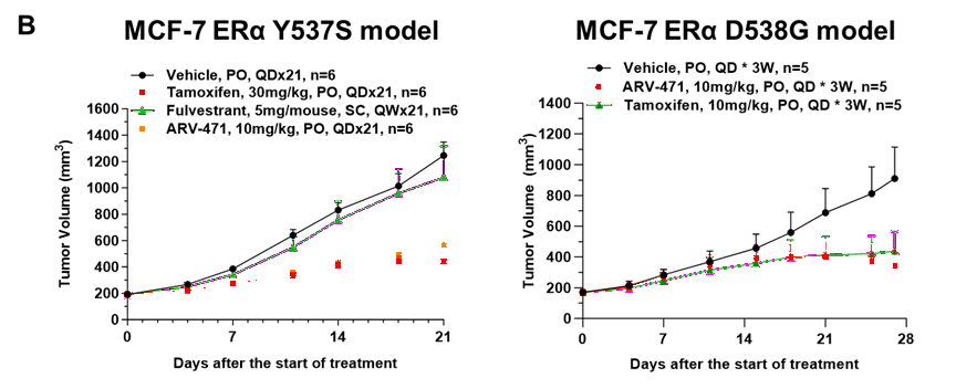 targeting er mutations and drug resistance 5 Fig 3B Er Blog