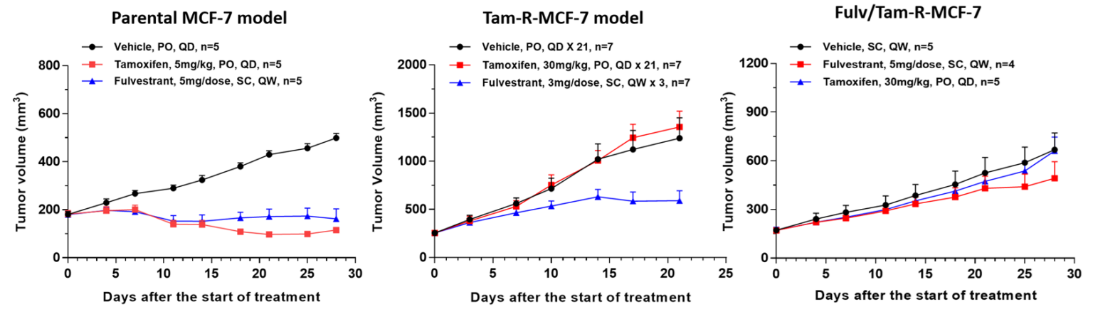 targeting er mutations and drug resistance 7 Fig 4 Er Blog