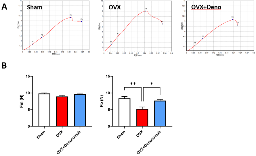 Fig 3 Ovx Blog
