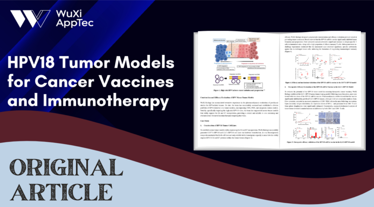 Blog Hpv18 Tumor Models
