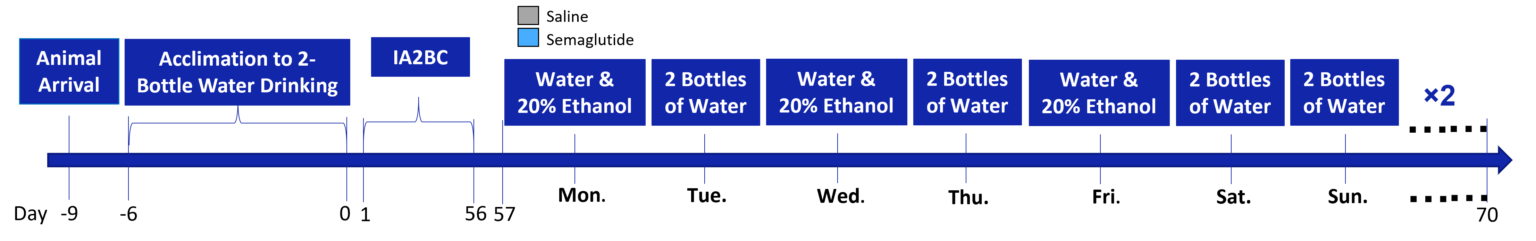 semaglutide in substance use disorders: addiction models 4 Figure 2 Addiction Blog