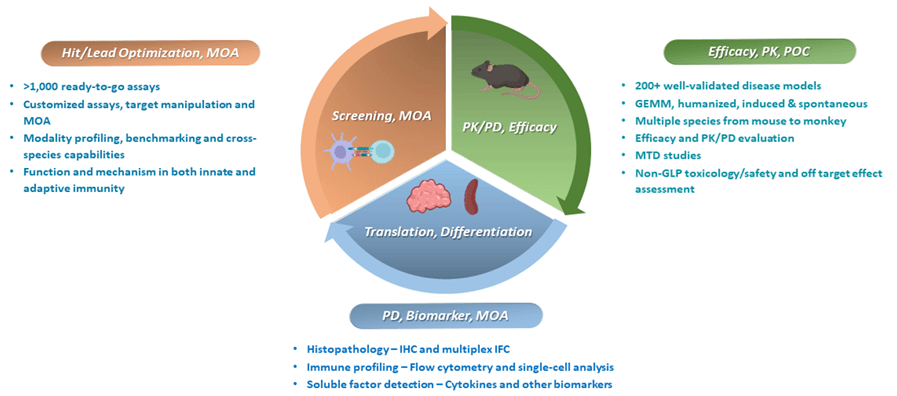 strategies and case studies of jak-stat targeted therapies 4 Fig 2 Jak-Stat Blog