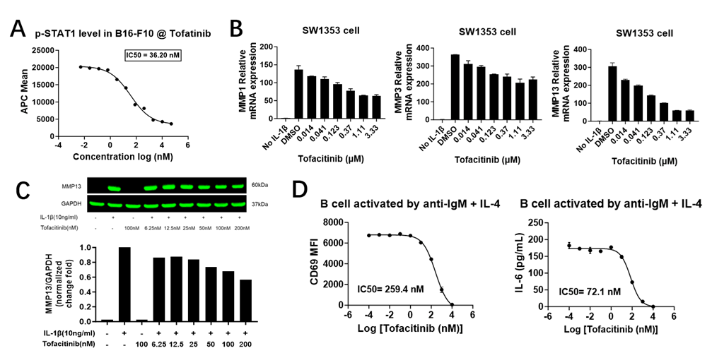 strategies and case studies of jak-stat targeted therapies 6 Fig 4 Jak-Stat Blog