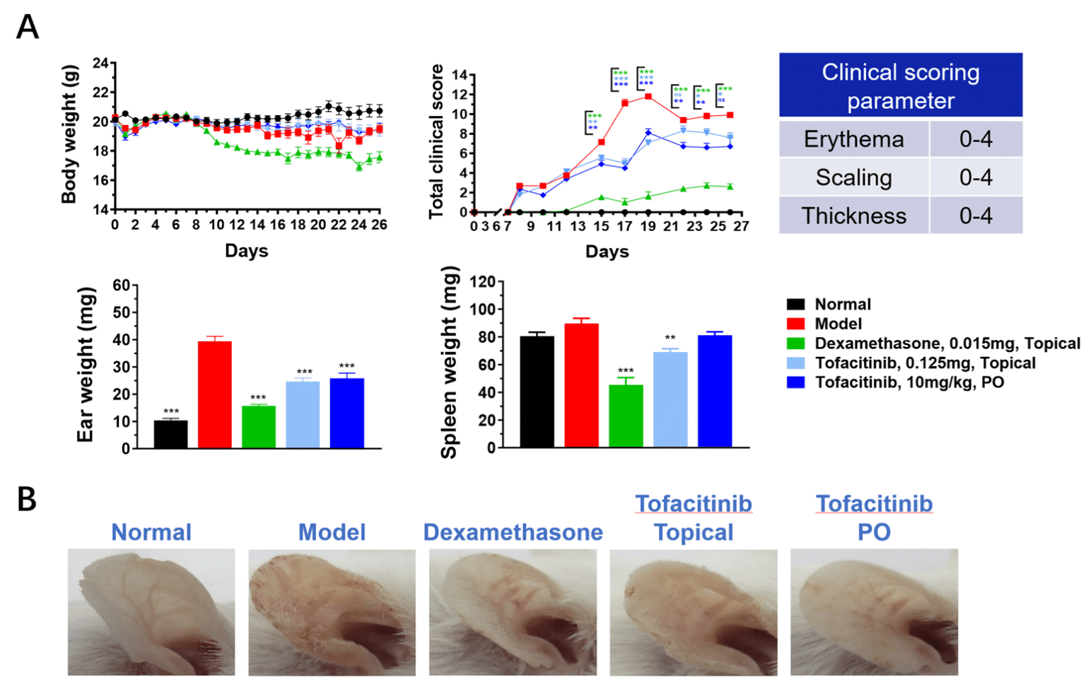 strategies and case studies of jak-stat targeted therapies 7 Fig 5 Jak-Stat Blog