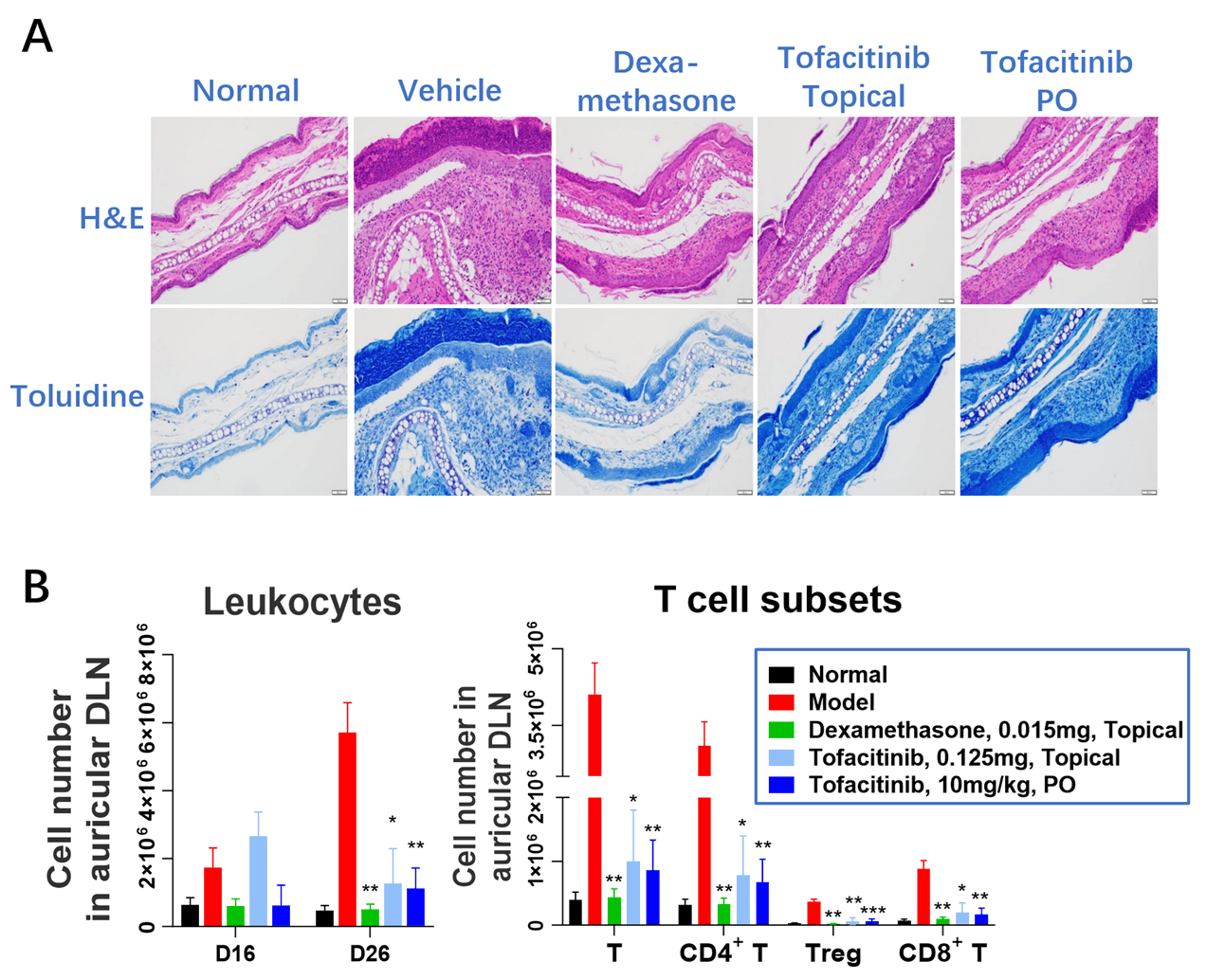 strategies and case studies of jak-stat targeted therapies 8 Fig 6 Jak-Stat Blog
