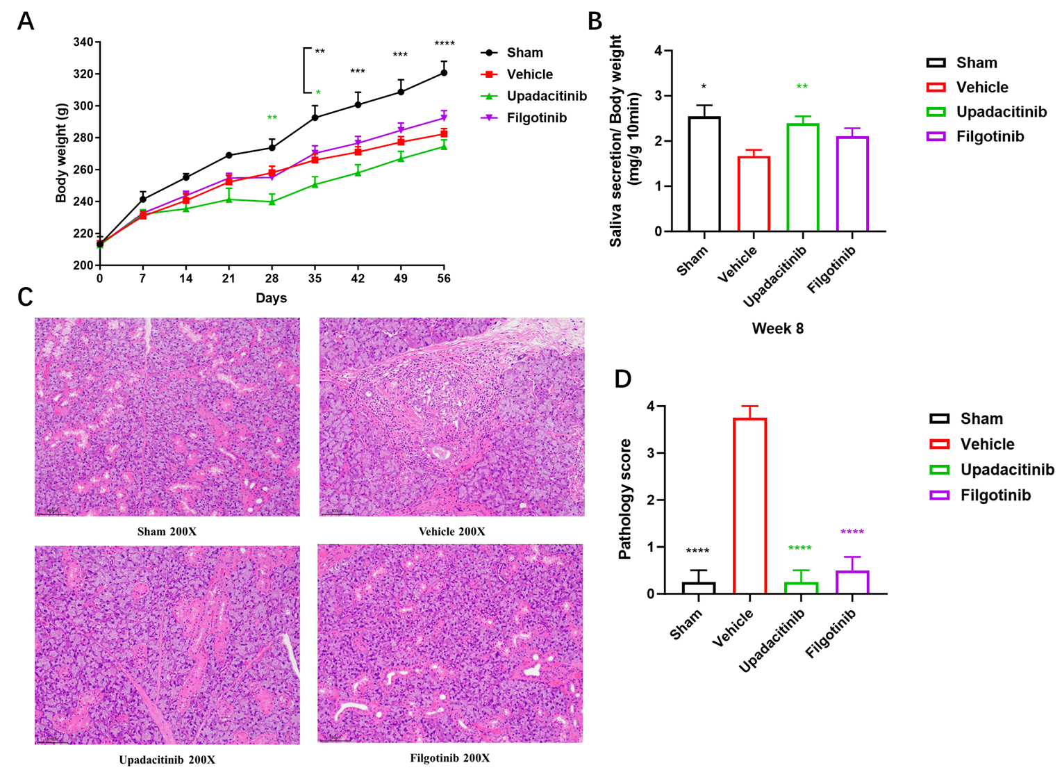 strategies and case studies of jak-stat targeted therapies 10 Fig 8 Jak-Stat Blog