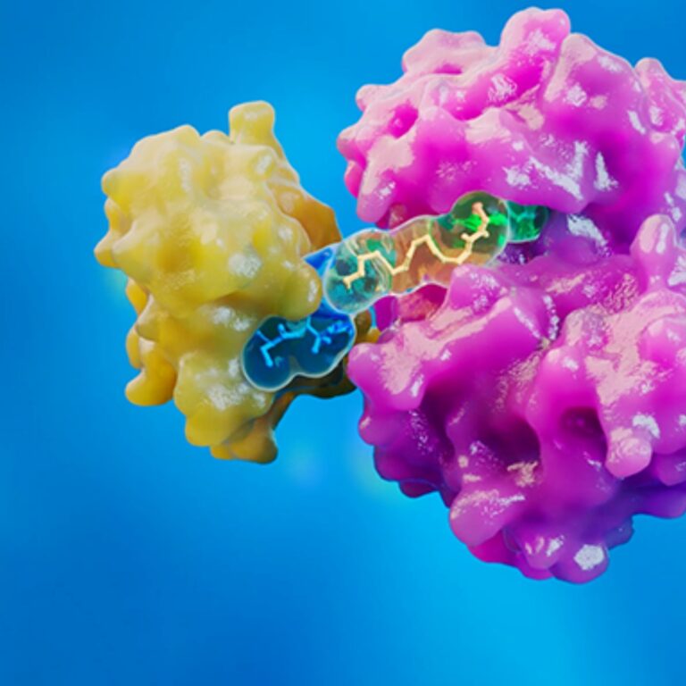 protac services: navigating dmpk and bioanalytical complexities 4 Five Ways Protacs Break From Adme Normsblog