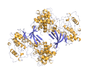 Cdk2 Cylin A 2.0 A 300X261 1