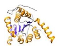 Dna Modifying Proteins 2