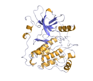 Egfr 1.7 A 1 300X261 1