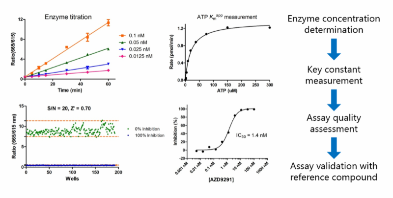 Enzymes01