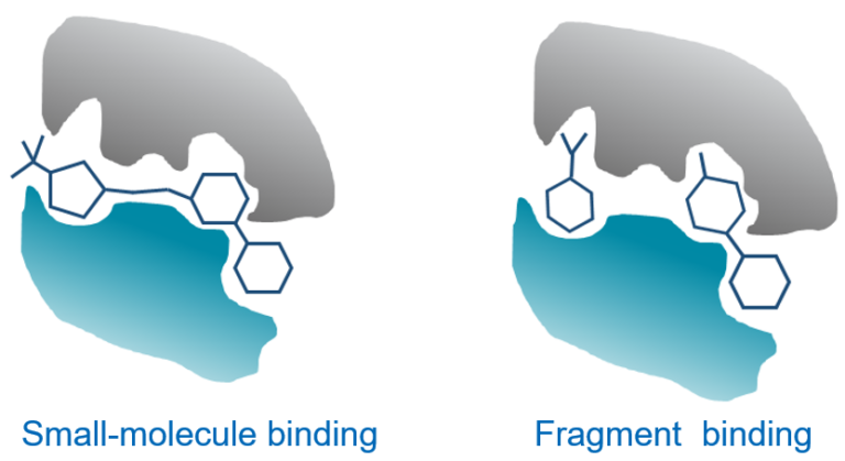 Fbdd 768X419 1